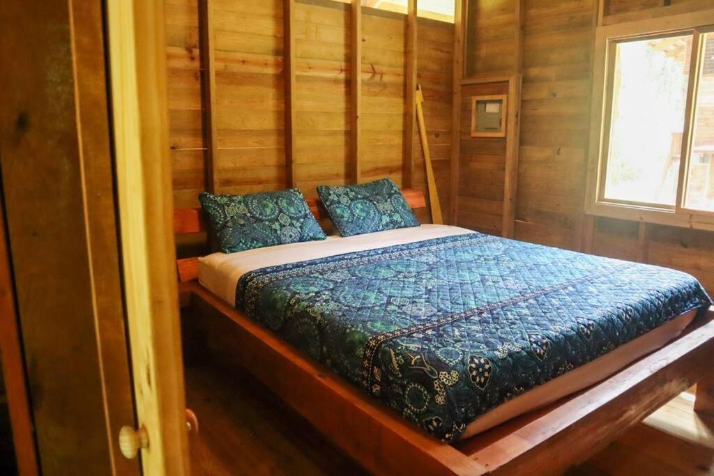 בוקס דל טורו Jungle Beach 2 Bedroom Cottage מראה חיצוני תמונה