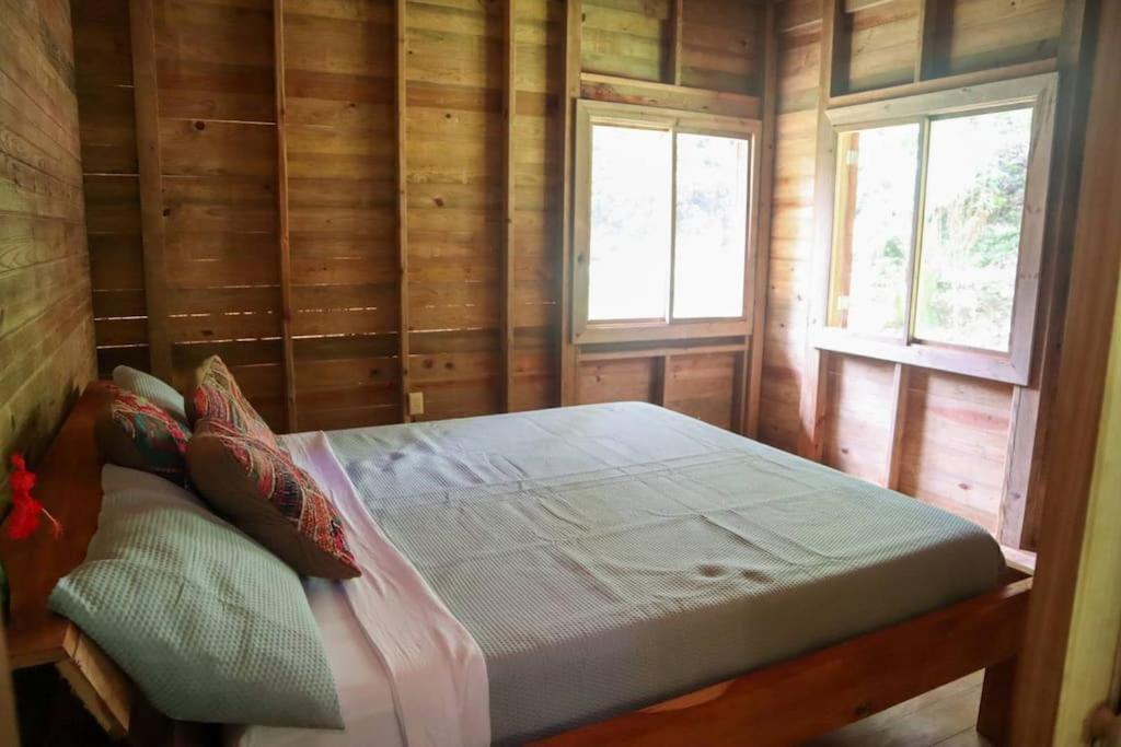 בוקס דל טורו Jungle Beach 2 Bedroom Cottage מראה חיצוני תמונה