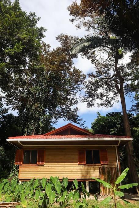 בוקס דל טורו Jungle Beach 2 Bedroom Cottage מראה חיצוני תמונה