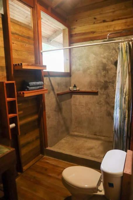 בוקס דל טורו Jungle Beach 2 Bedroom Cottage מראה חיצוני תמונה
