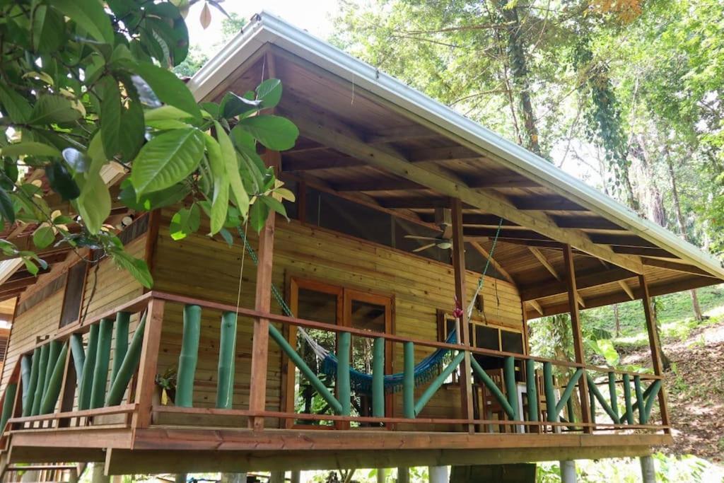 בוקס דל טורו Jungle Beach 2 Bedroom Cottage מראה חיצוני תמונה