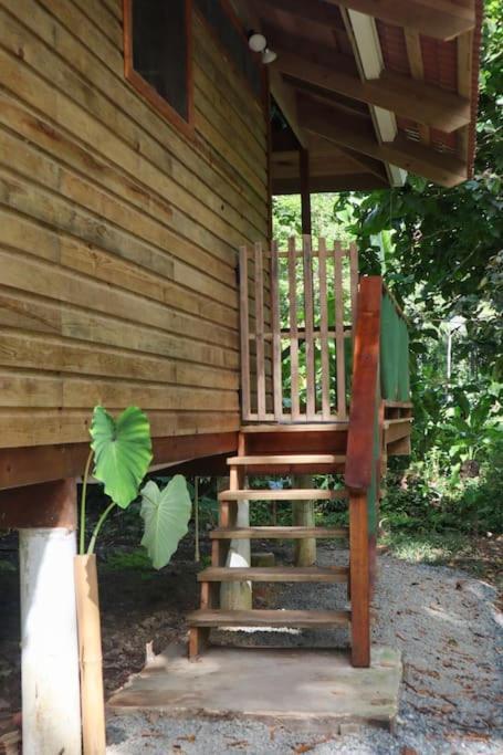 בוקס דל טורו Jungle Beach 2 Bedroom Cottage מראה חיצוני תמונה