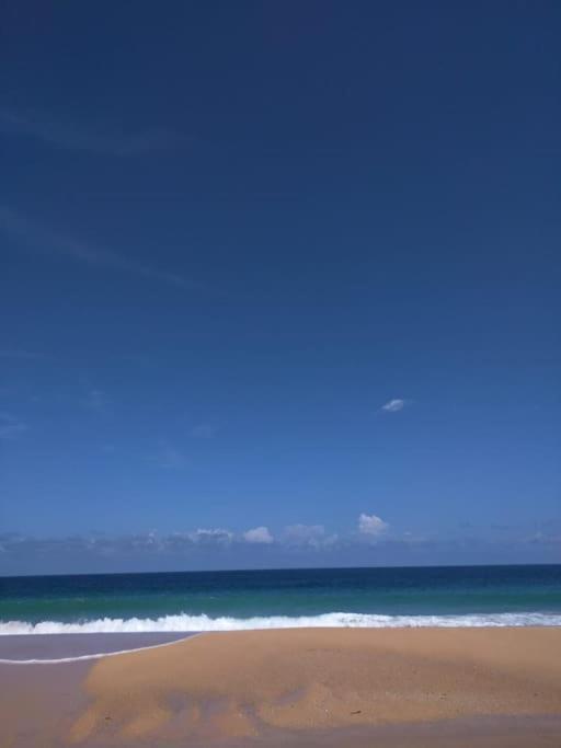 בוקס דל טורו Jungle Beach 2 Bedroom Cottage מראה חיצוני תמונה